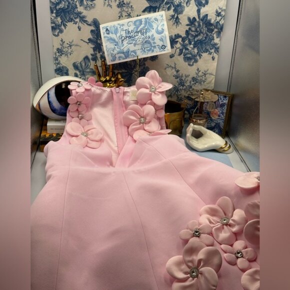 🆕 BRONX & BANCO 🧿 NWOT Estelle Floral Mini Dress, Blush Pink - Sz L US 8 - Picture 14 of 17